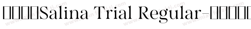 字体名称Salina Trial Regular字体转换